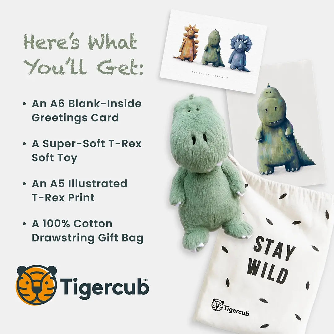 T-Rex gift set - Gender neutral baby gift set