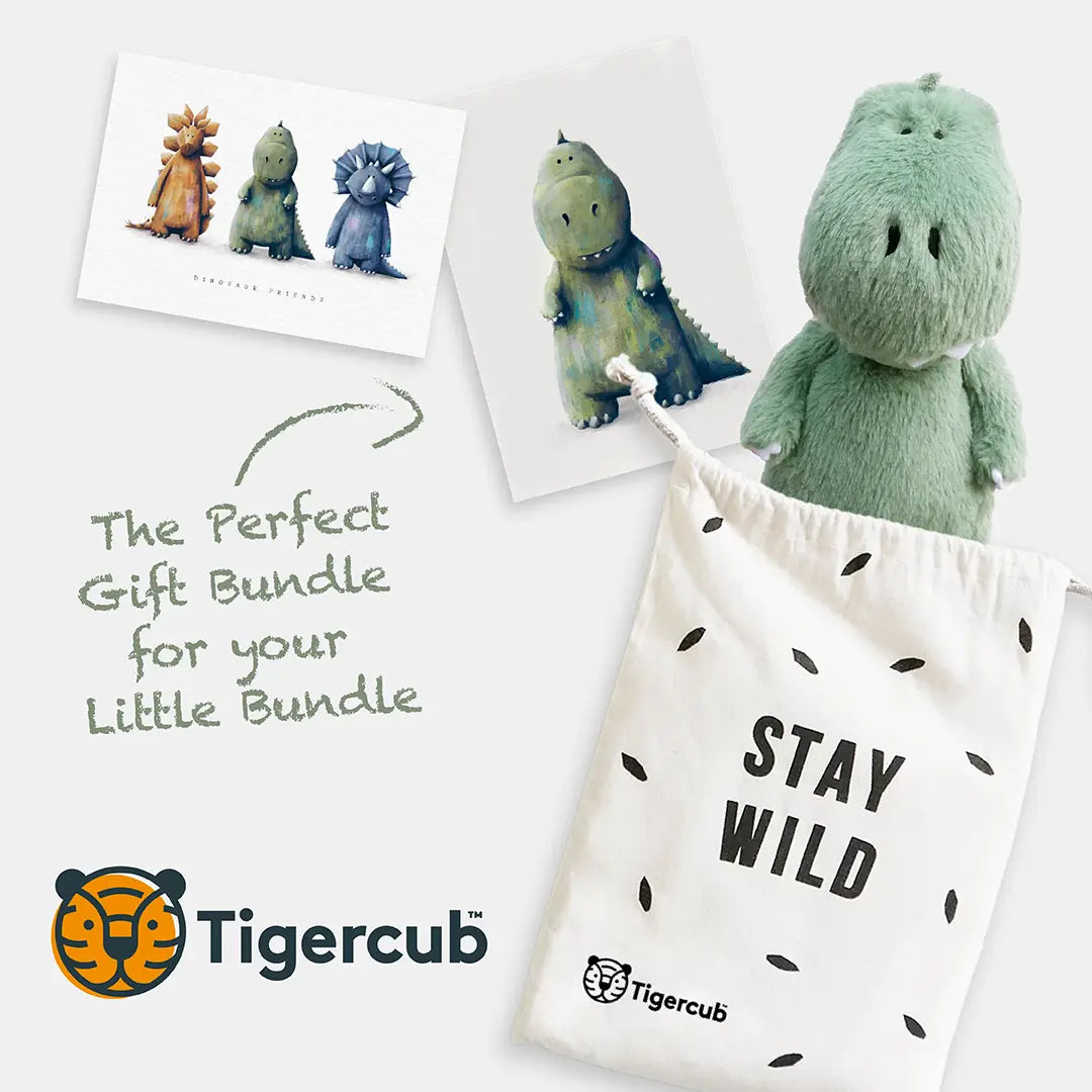 T-Rex gift set - Gender neutral baby gift set
