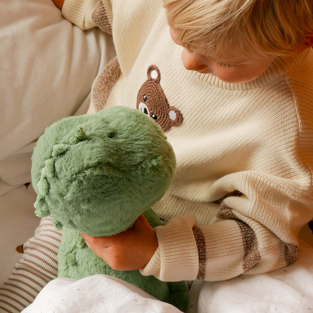 Dinosaur Soft Toy