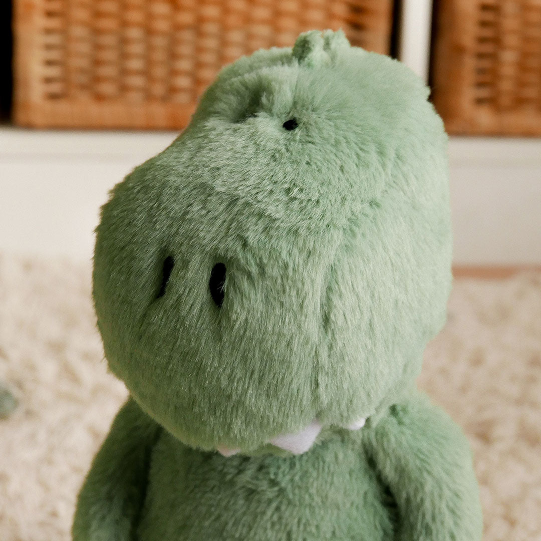 Dinosaur Soft Toy