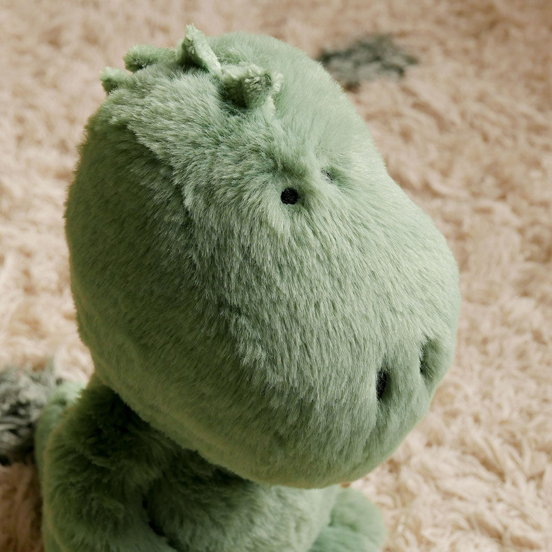 Dinosaur Soft Toy